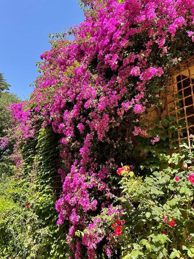 Can Codol De Fluvia - Casita Torroella de Fluviá Exterior photo